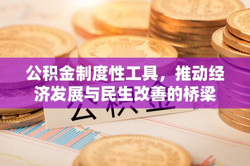会东公积金制度性工具，推动经济发展与民生改善的桥梁
