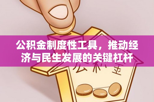 会东公积金制度性工具，推动经济与民生发展的关键杠杆