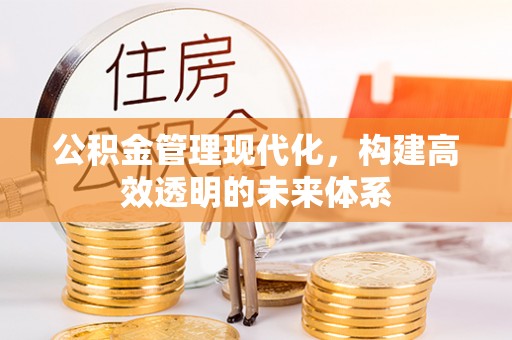 会东公积金管理现代化，构建高效透明的未来体系