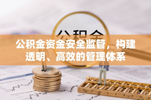 会东公积金资金安全监管，构建透明、高效的管理体系
