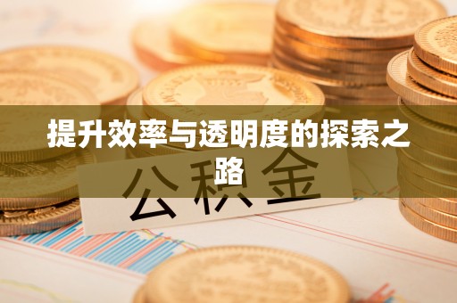 会东提升效率与透明度的探索之路