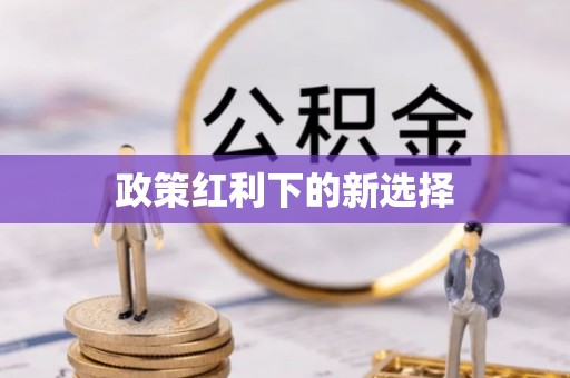 会东政策红利下的新选择