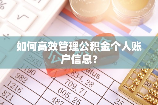 会东如何高效管理公积金个人账户信息？