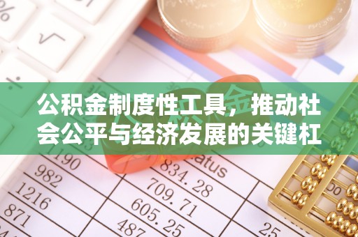 会东公积金制度性工具，推动社会公平与经济发展的关键杠杆