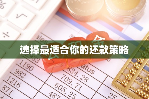 会东选择最适合你的还款策略
