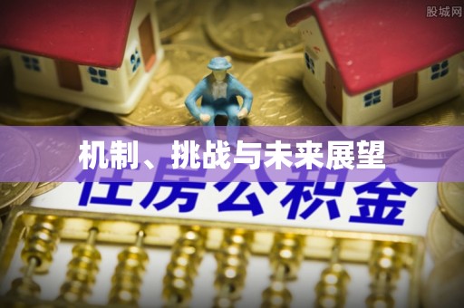 会东机制、挑战与未来展望